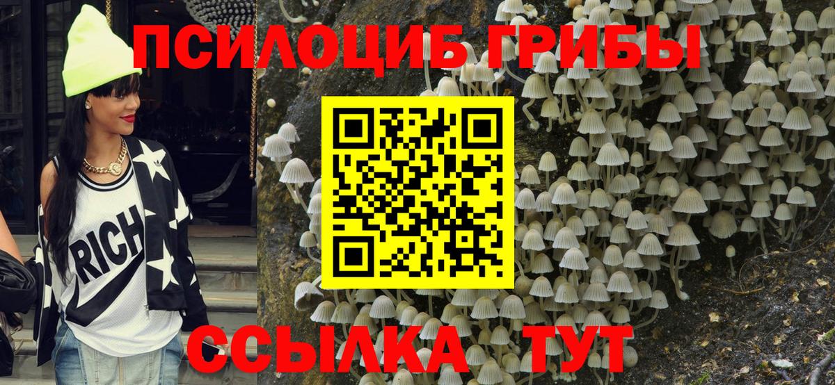 Псилоцибиновые грибы Magic Shrooms Камышин