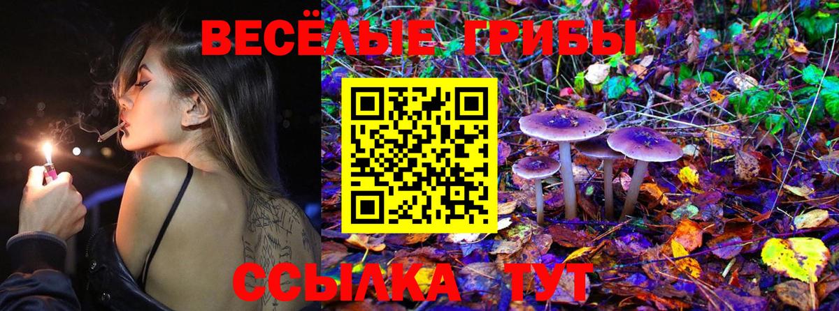 Галлюциногенные грибы Cubensis  Вход с VPN  Галлюциногенные грибы Psilocybe  Камышин 